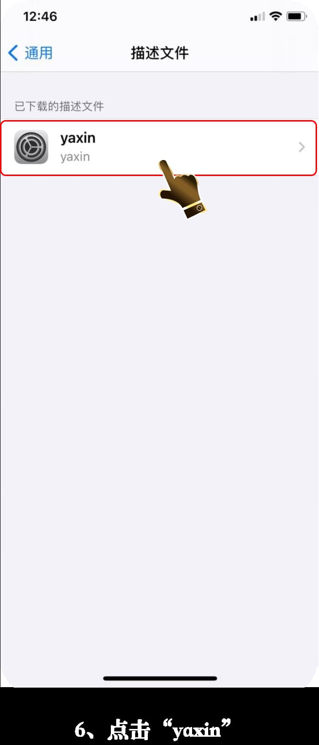 亚星iOS客户端下载安装步骤可视化流程图6